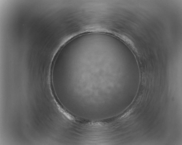 X0000072971231200607282313