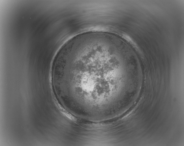 X0000072971232200607282313