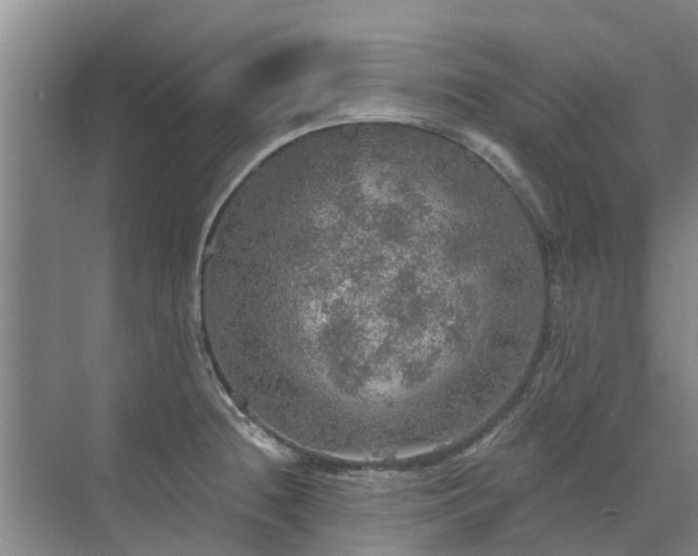 X0000072971236200607282313