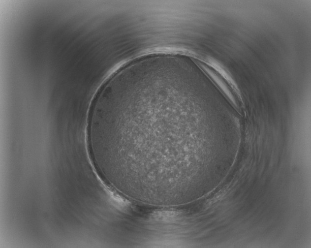 X0000072971237200607282313