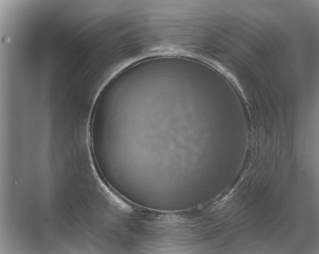 X0000072971239200607282313