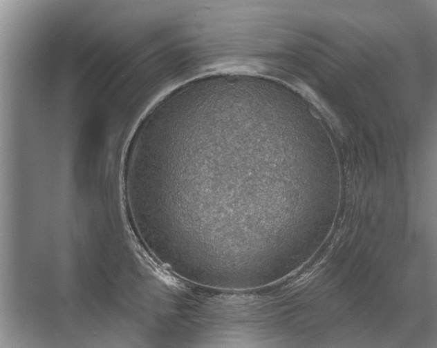 X0000072971240200607282313