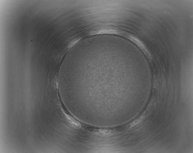 X0000072971241200607282313