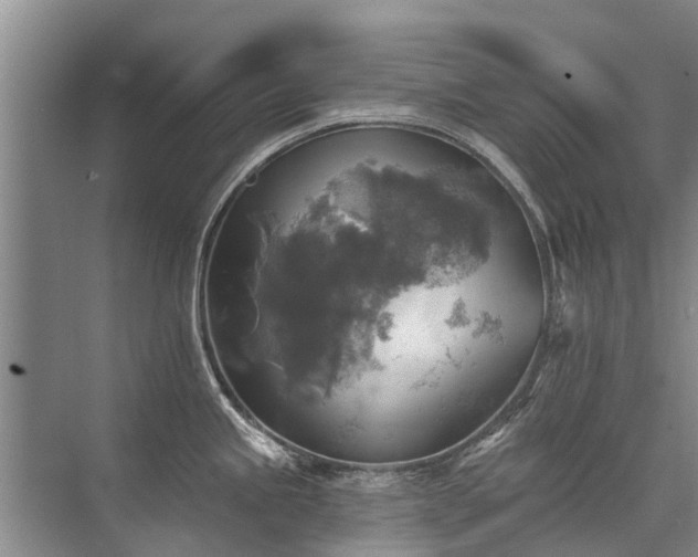 X0000072971245200607282314