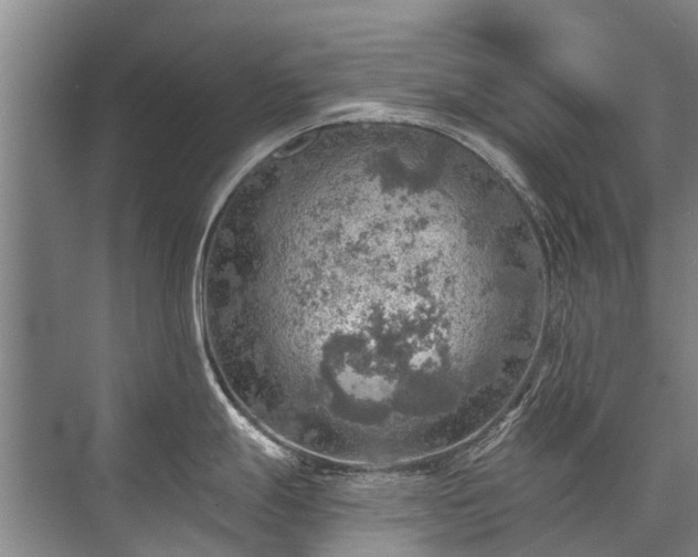 X0000072971247200607282314