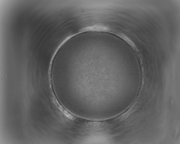 X0000072971248200607282314