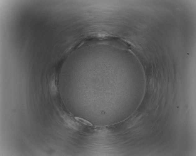 X0000072971250200607282313