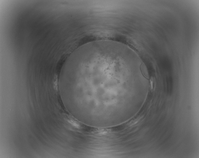 X0000072971251200607282313