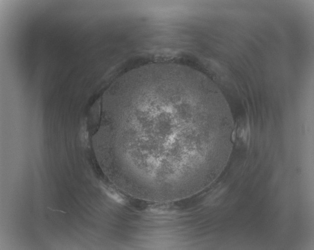 X0000072971252200607282313