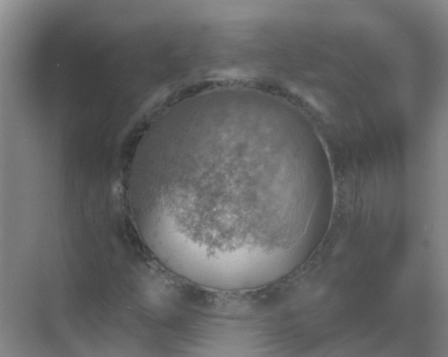 X0000072971254200607282313