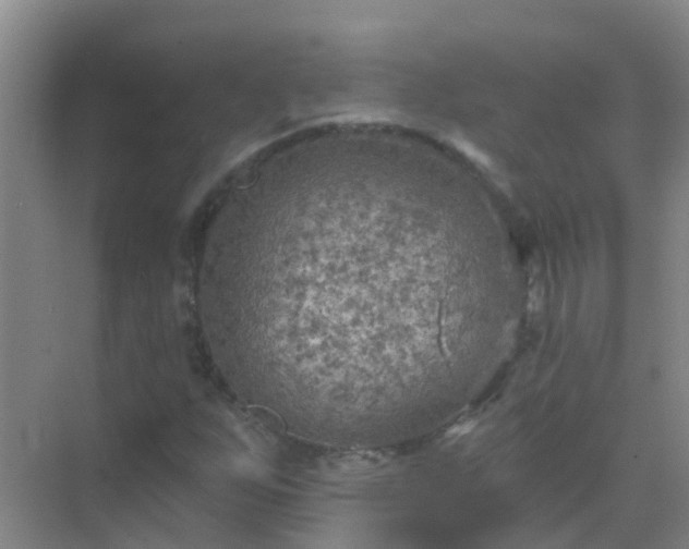 X0000072971255200607282313