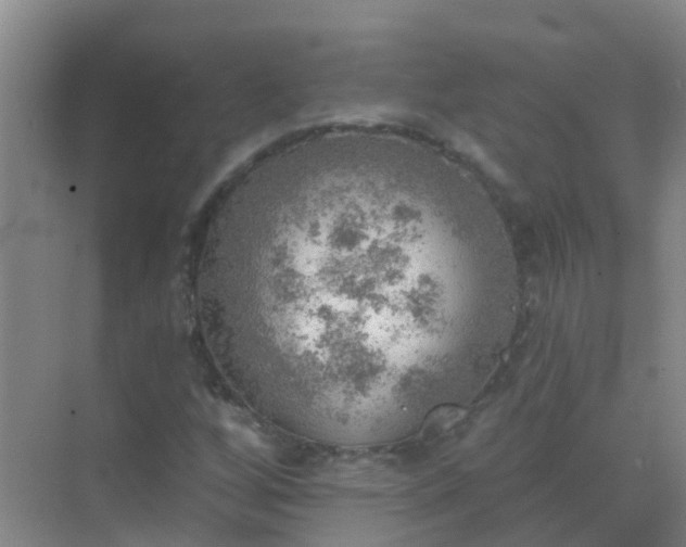 X0000072971256200607282313