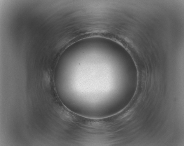 X0000072971257200607282313