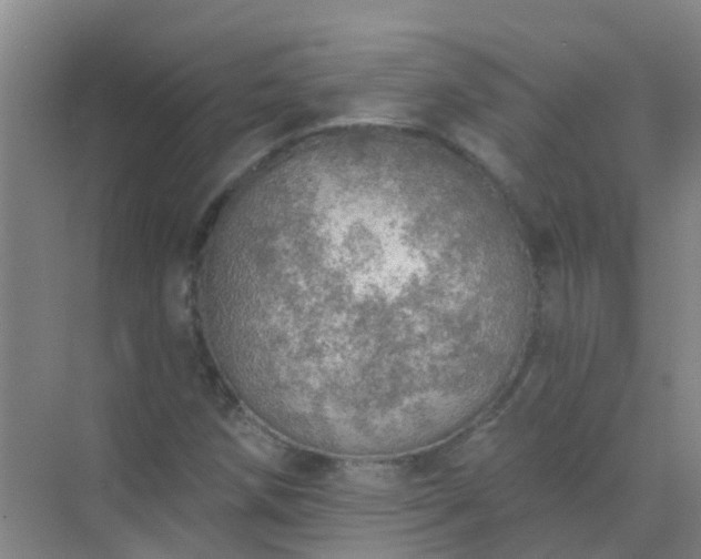 X0000072971258200607282313