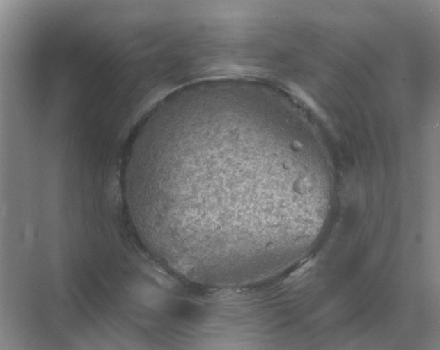 X0000072971259200607282313