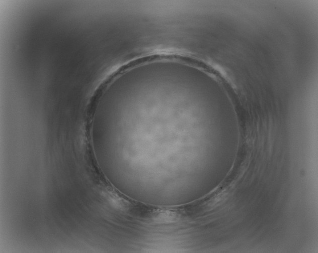 X0000072971263200607282313