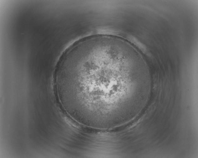 X0000072971264200607282312