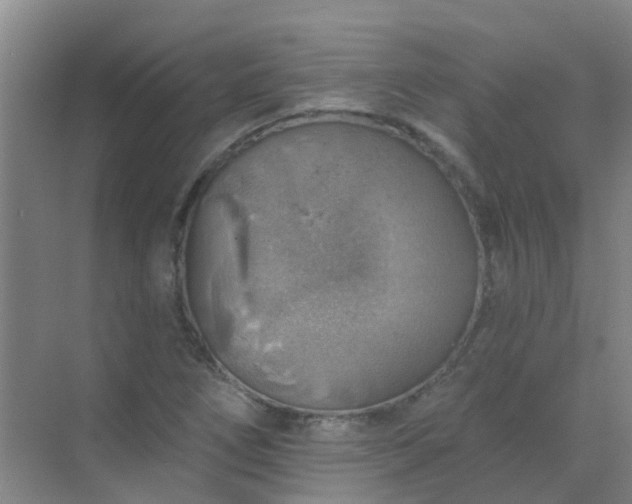 X0000072971266200607282312