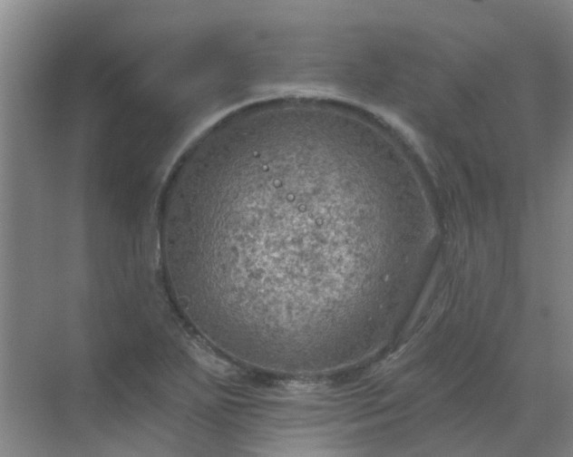 X0000072971271200607282312