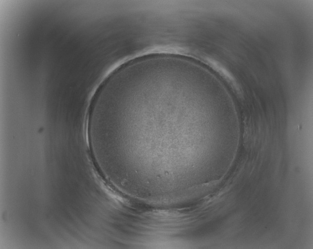 X0000072971272200607282312