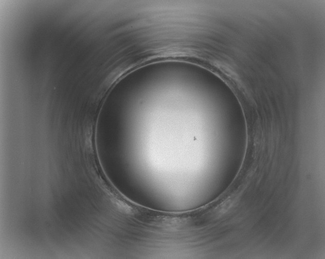 X0000072971273200607282312