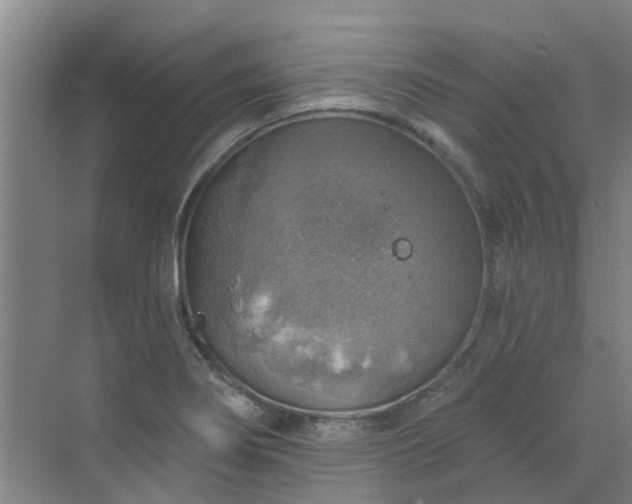 X0000072971274200607282312