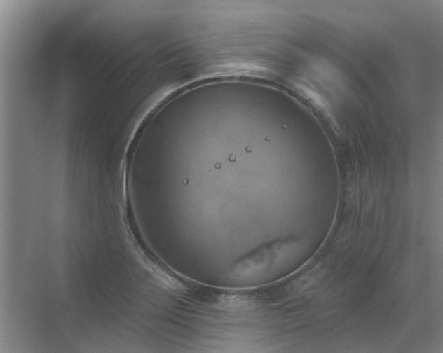 X0000072971275200607282312