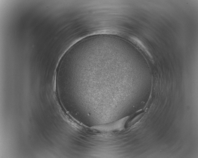 X0000072971276200607282312