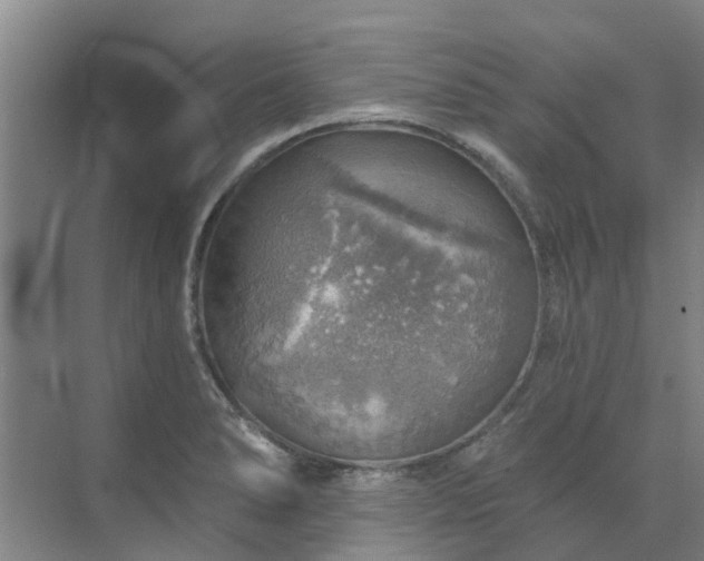 X0000072971278200607282312