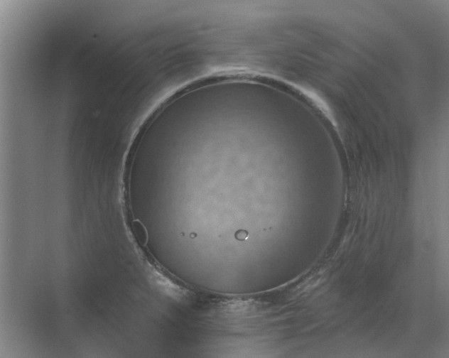 X0000072971279200607282312