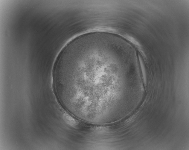 X0000072971280200607282312