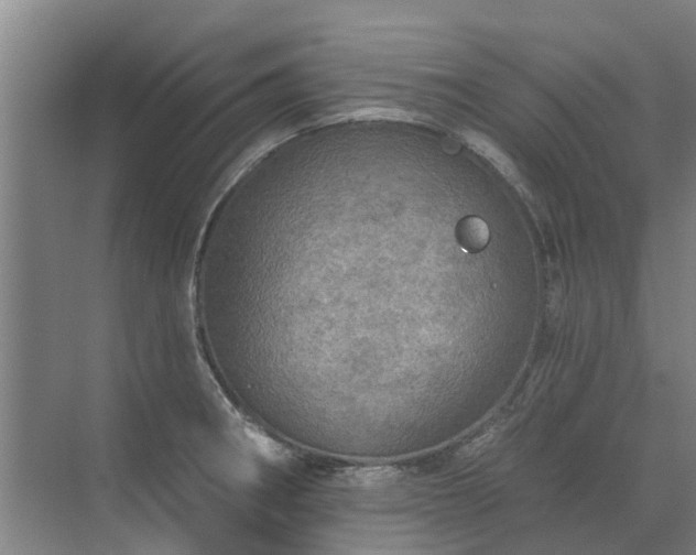 X0000072971282200607282312