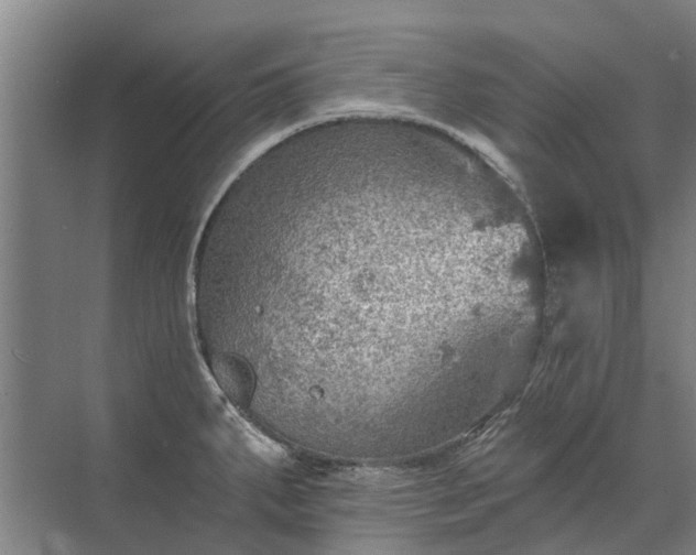 X0000072971287200607282312