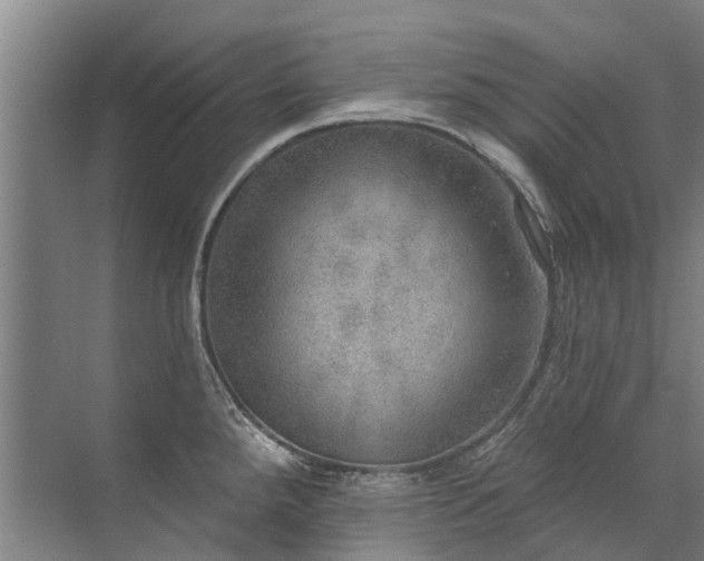 X0000072971288200607282312