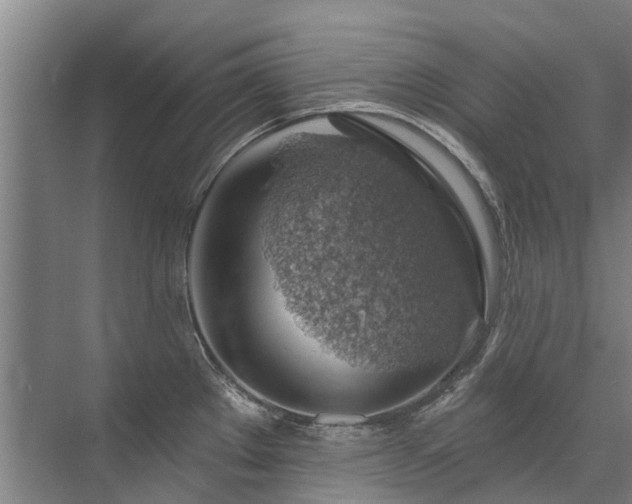 X0000072971289200607282312