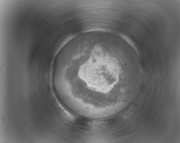 X0000072971290200607282312