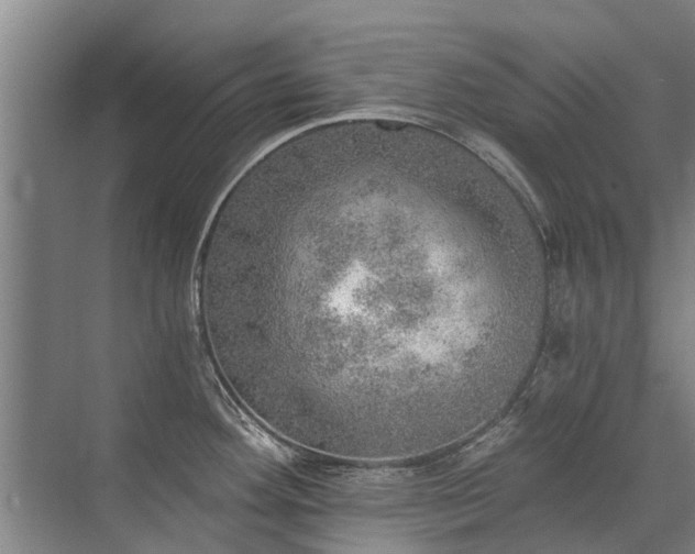 X0000072971292200607282312