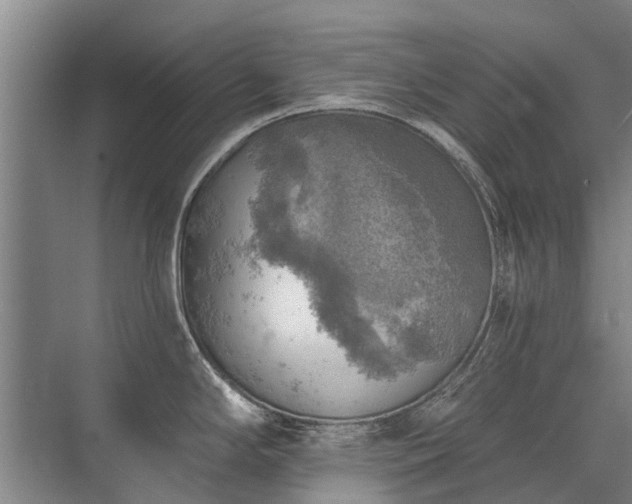 X0000072971294200607282312