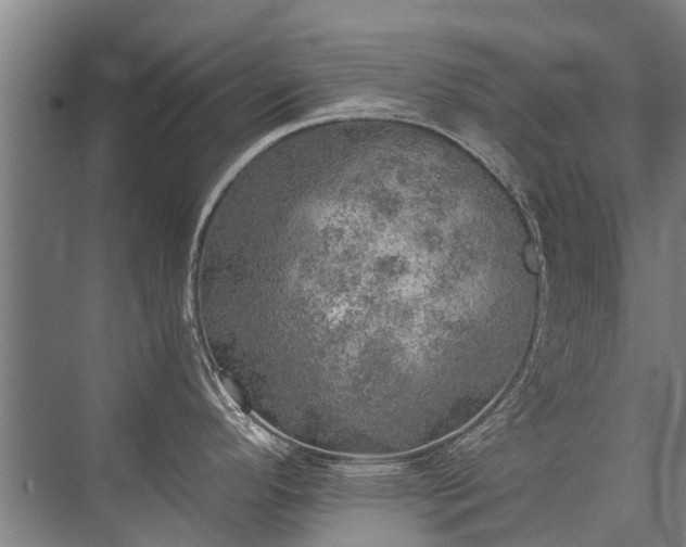 X0000072971296200607282312