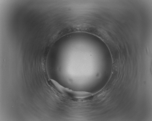 X0000072971298200607282311