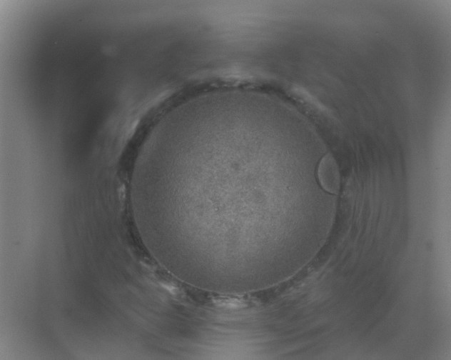 X0000072971302200607282311