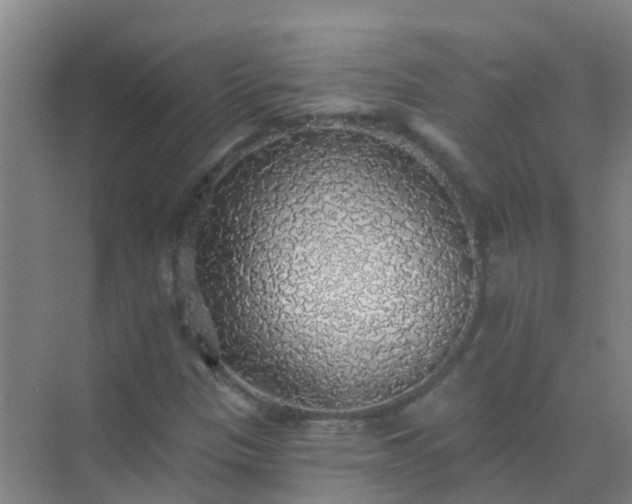 X0000072971305200607282311