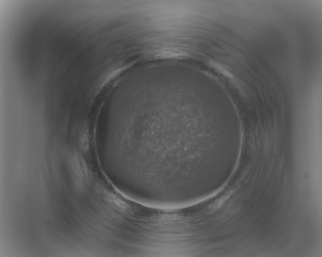 X0000072971306200607282311