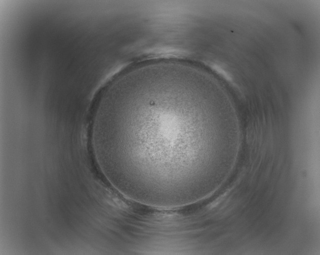 X0000072971309200607282311