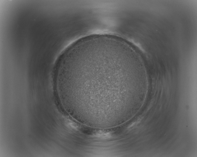 X0000072971311200607282311