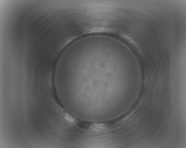 X0000072971313200607282311