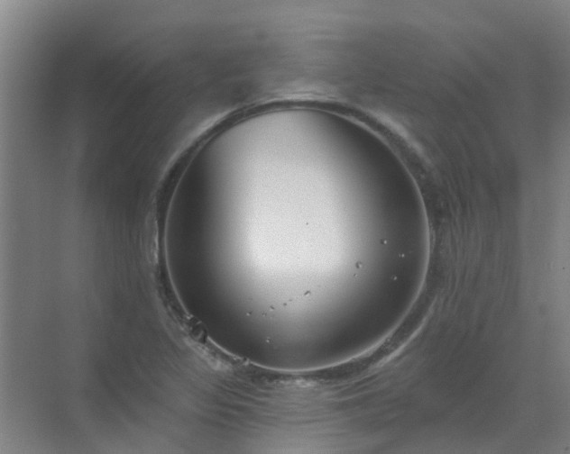 X0000072971317200607282311