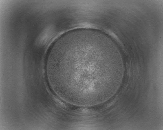 X0000072971318200607282311