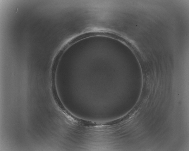 X0000072971319200607282312