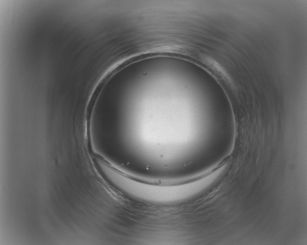 X0000072971324200607282312